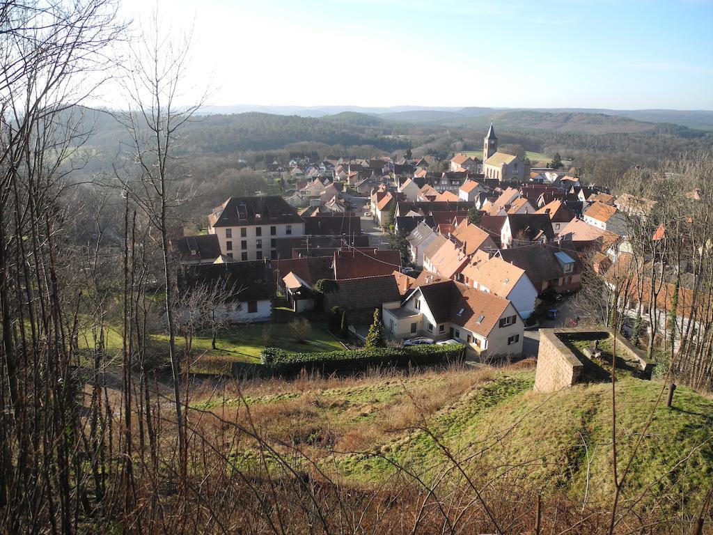 Au Pied Du Chateau Lichtenberg Ruang foto
