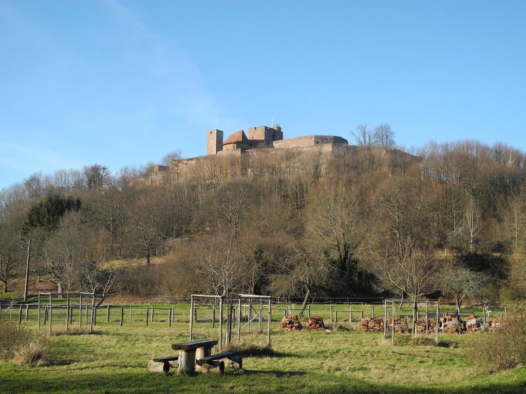 Au Pied Du Chateau Lichtenberg Ruang foto