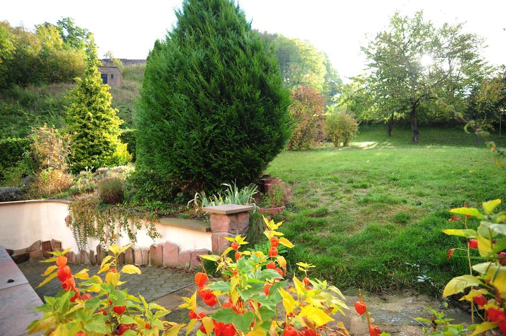 Au Pied Du Chateau Lichtenberg Ruang foto